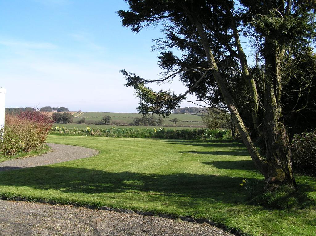 Bed and Breakfast Greenfields Clovelly Exterior foto